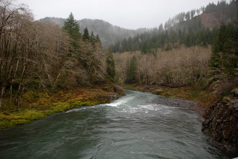 Wilson River