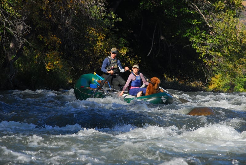 Pit River Rapid