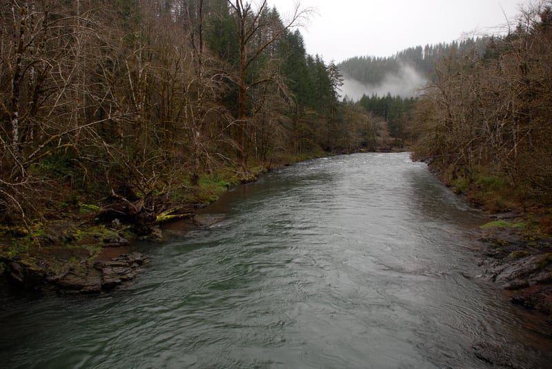 Wilson River