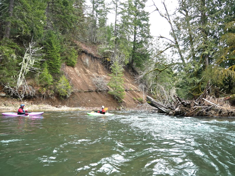 Downed Trees on Rock Creek