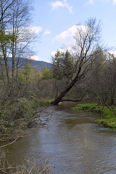 View at the Put-in