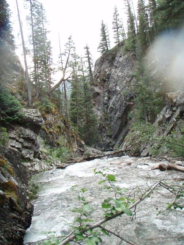 Elk Creek logjam
