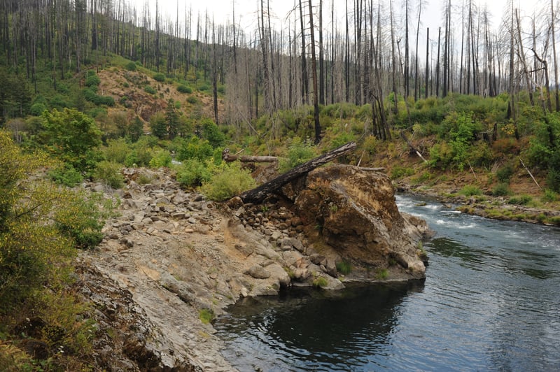 Swiftwater Park River View