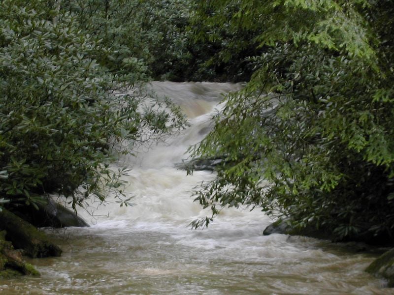 Looking upstream at Another Drop - Middle Creek, NC