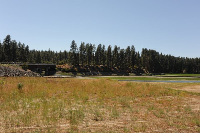 Pioneer Park East
