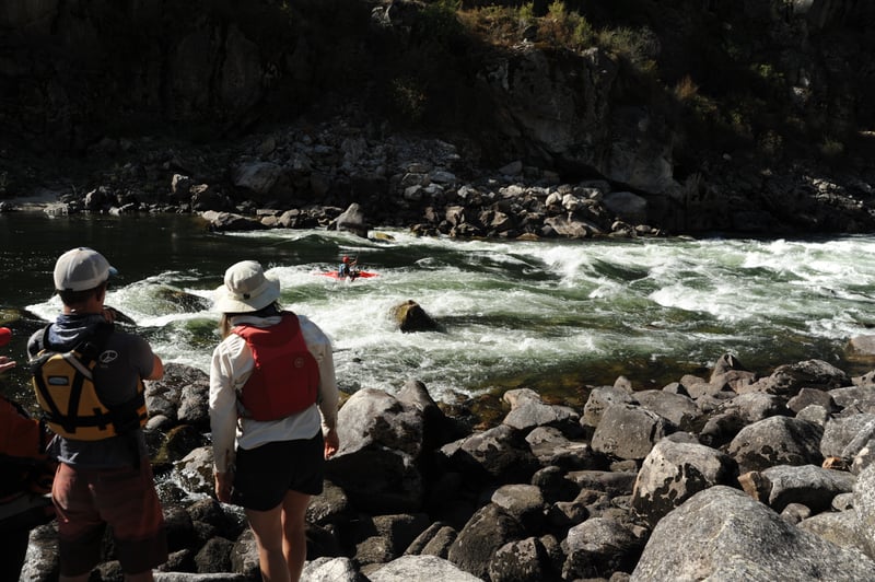 Aki on Vinegar Creek