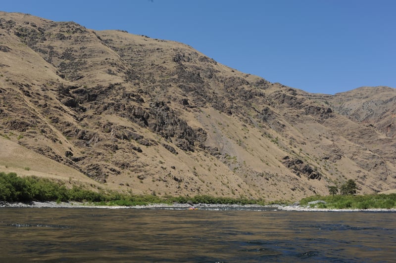 Alum Bed Rapid