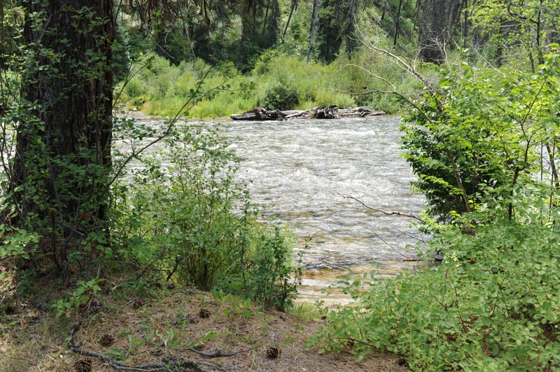 Julie Creek Campground Shoreline