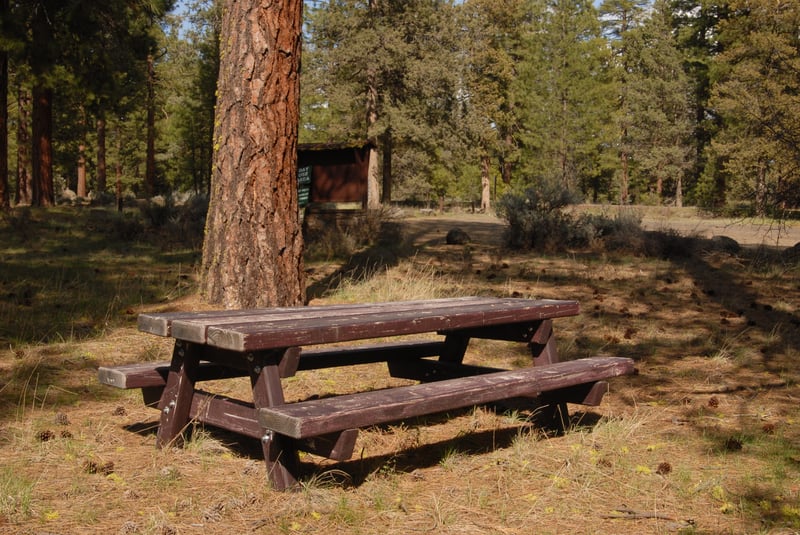 Picnic Site at Keno Recreation Area
