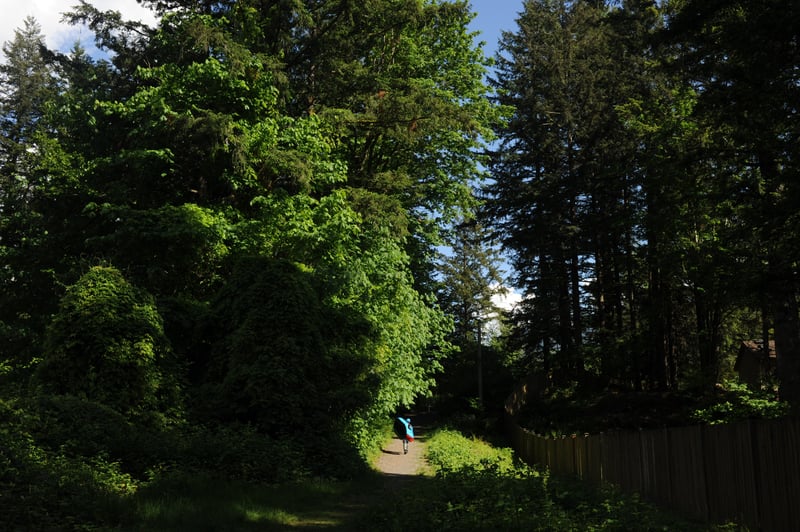 Tanner Access Trail