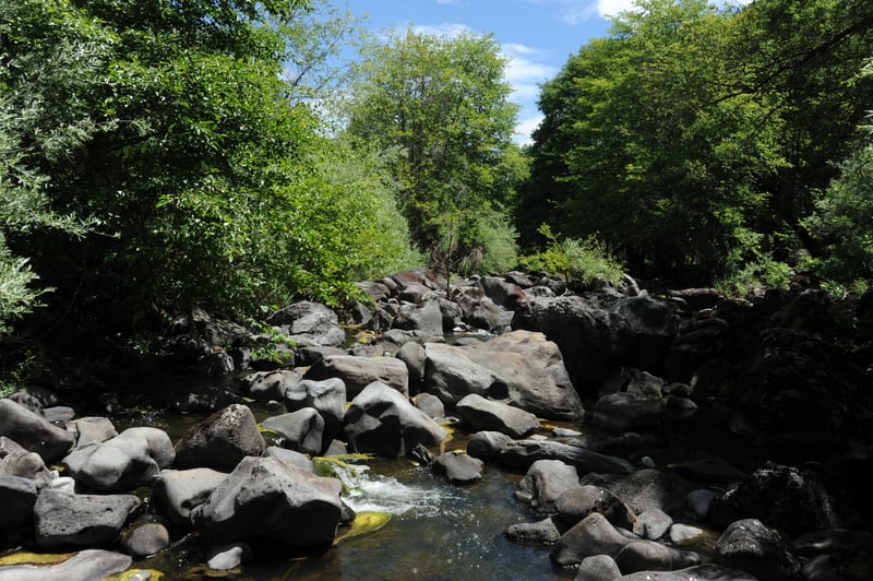 Riverbed Near Copco Dam