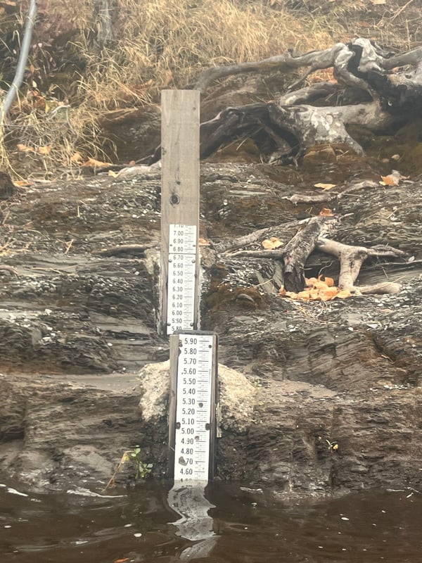 Gauge