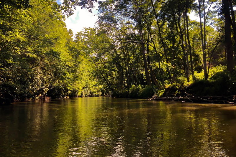 Reddies River @Route 1546 to North Wilkesboro