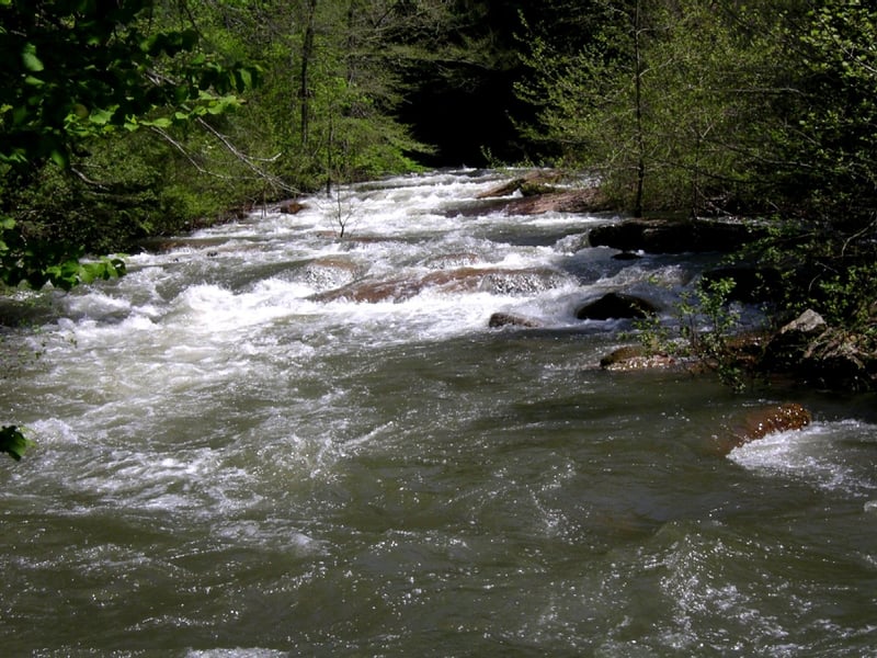 Mammy's Creek scene