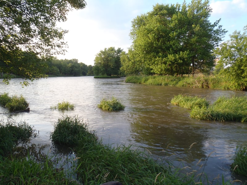 looking upstream - main channel to right ~1700cfs, 6/24/10