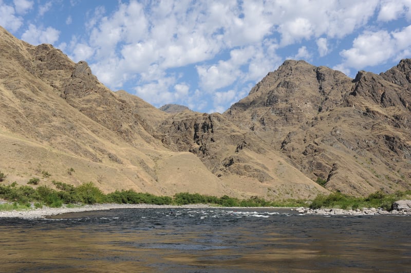 Middle Kirby Rapid