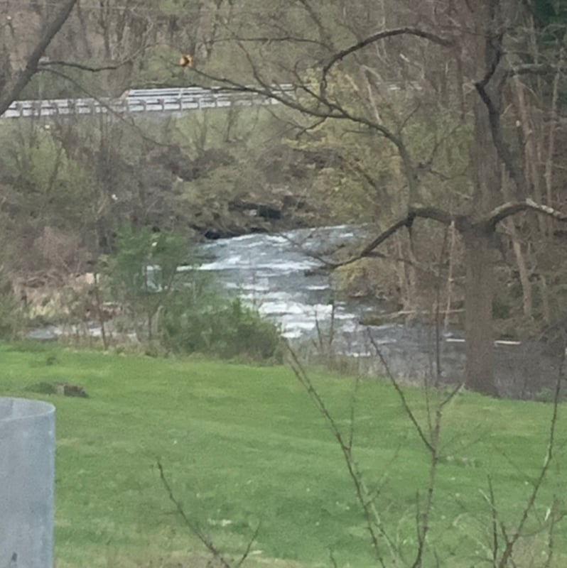 pic from the road