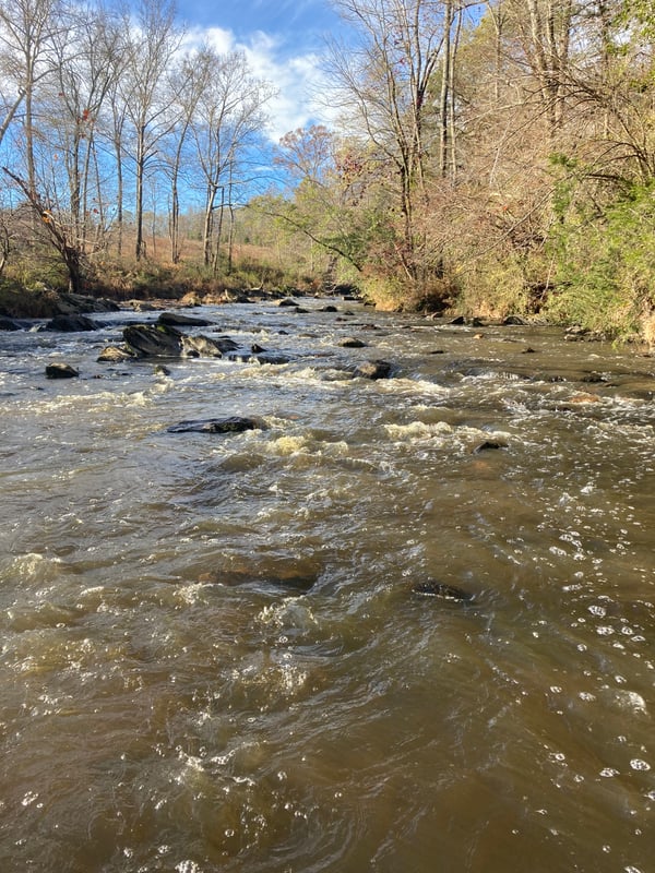 Bear Creek Rapids