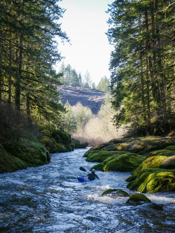 Calapooia @2. 13 mi. above Holley to Concrete Bridge