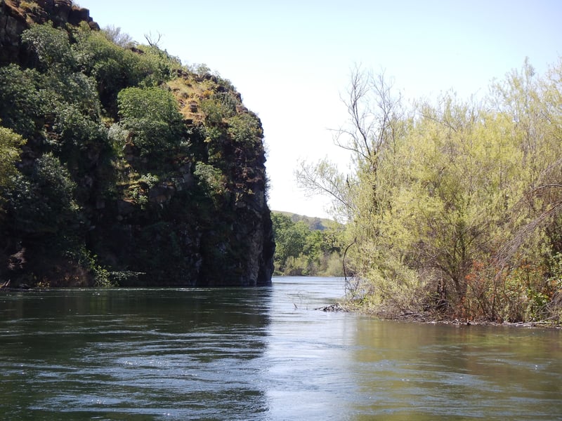 Rocky Bluffs