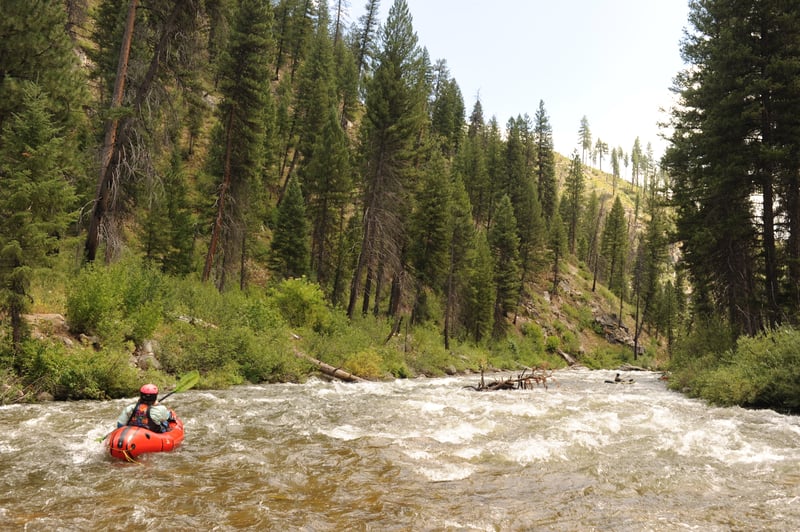 Whitewater Near the Start