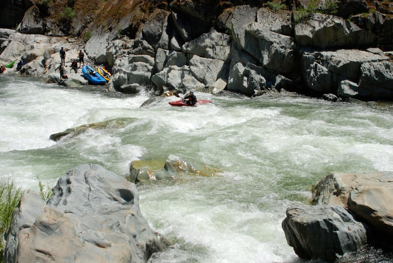 Bogus Thunder, from upstream
