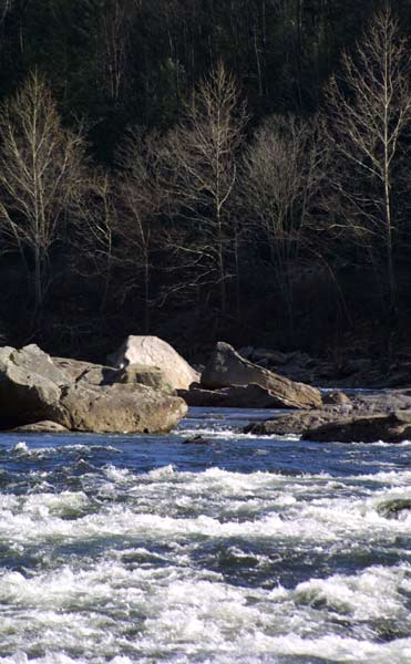 Top Gauley 01