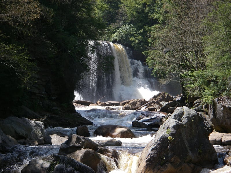 Blackwater Falls in Summer