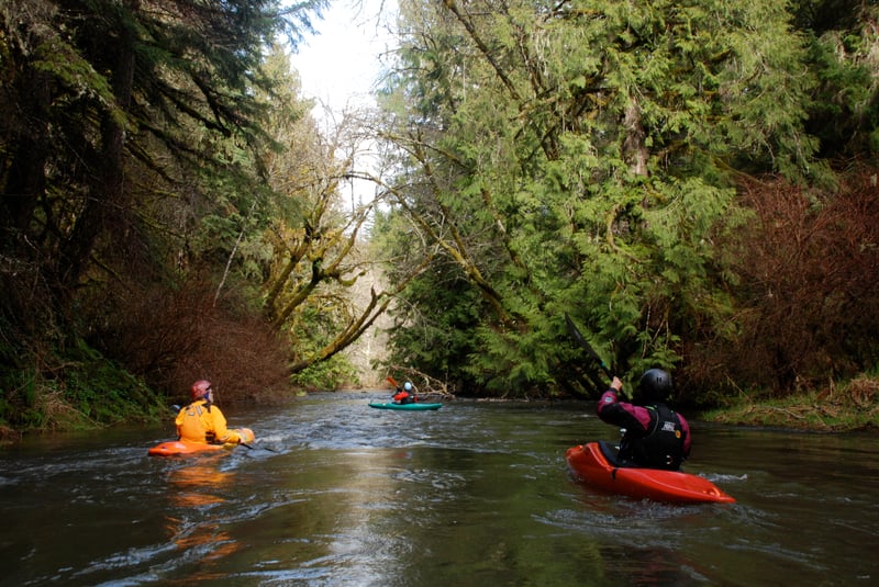 S.F. Alsea