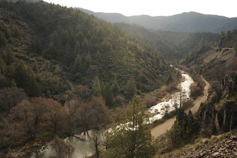 View Upstream from Highway 263 Bridge