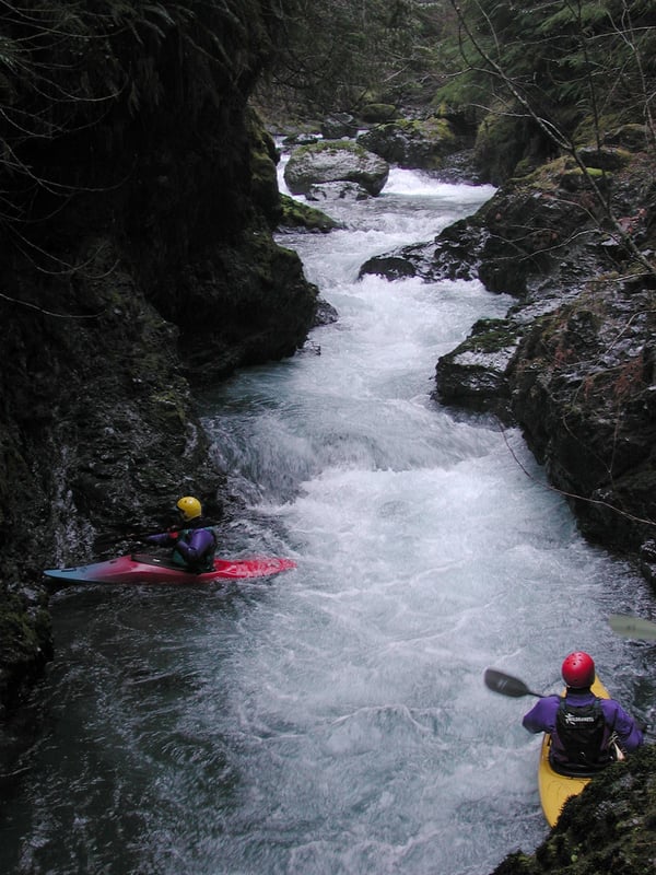 West Fork Satsop Gorge
