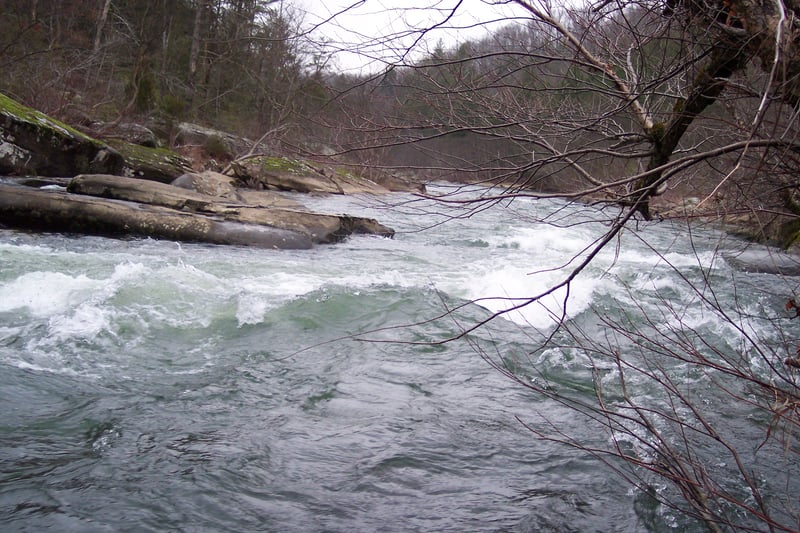 Looking Downstream @ Swimmers