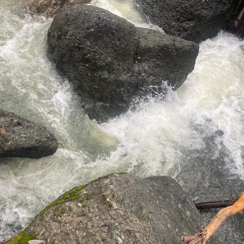 Pin rocks
