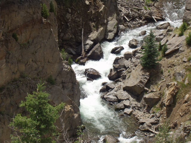 Rapid (low)