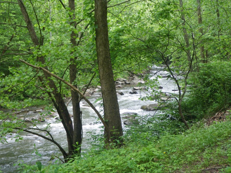 First Curve, low water