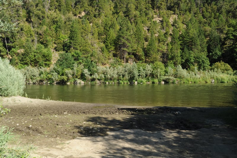 Coon Creek Access Shoreline