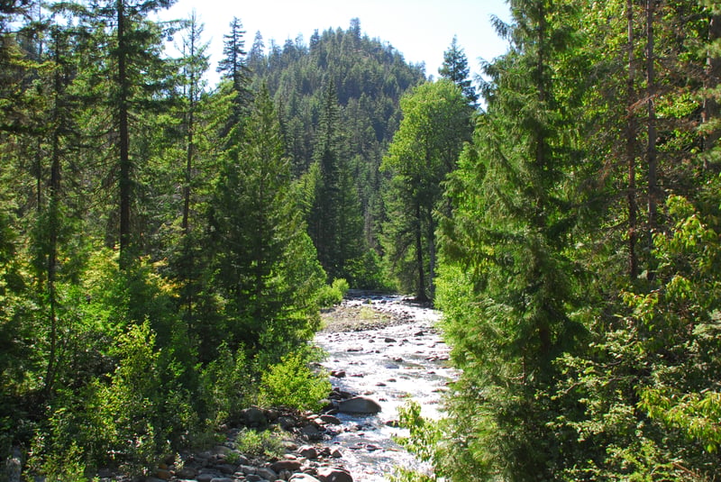 North Fork Teanaway