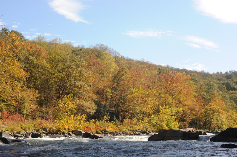 Looking Upstream at Dimple