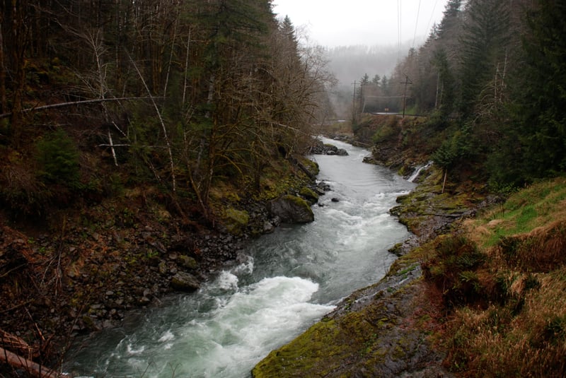 Wilson River