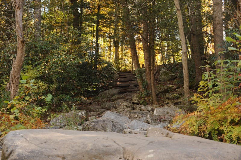 Loop Trail Take-Out
