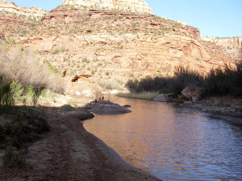 Dolores River Canyon