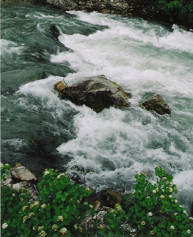 Little Greys River