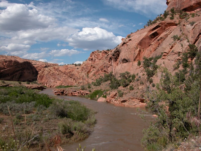 Lower Dolores River