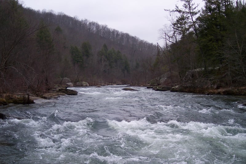 Looking Upstream @ Swimmers