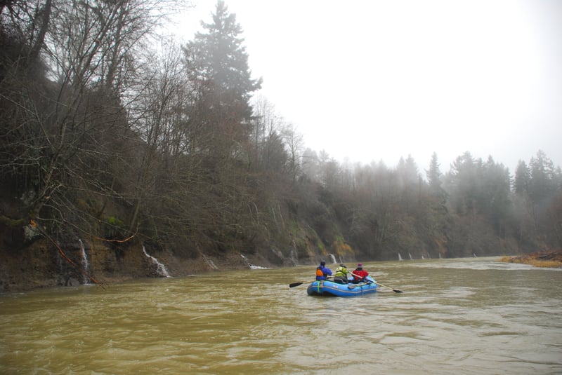 Springs along Nisqually River