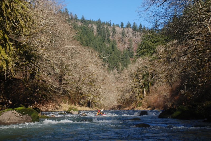 Paddling the Nestucca