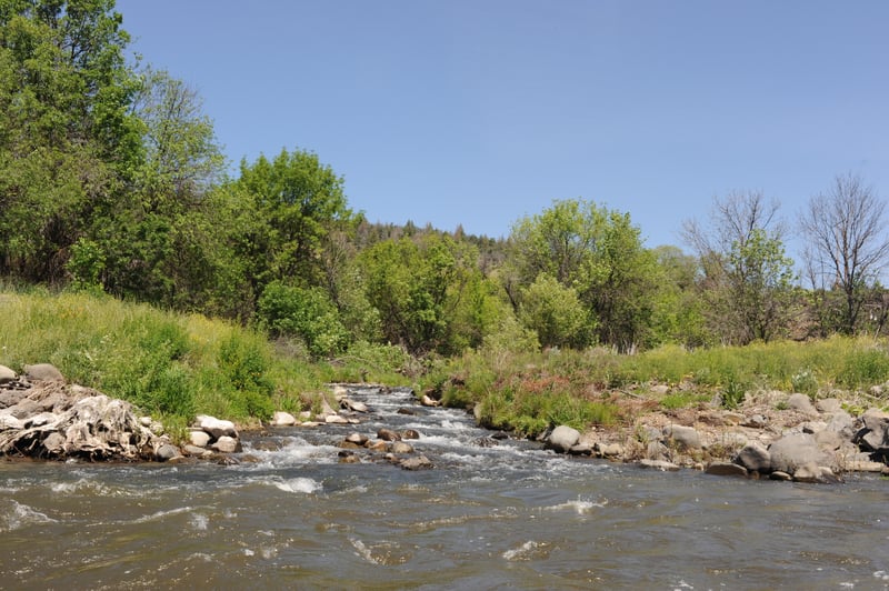 Fall Creek Confluence