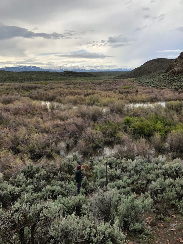  on Humboldt River, North Fork @Devil's Gap