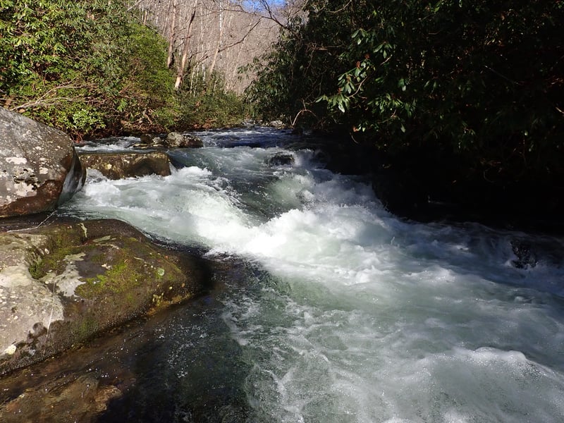Great water quality