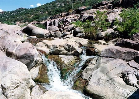 Tonto Creek